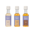 barista syrups collection